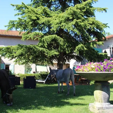 La Ferme De Capucine Culhat